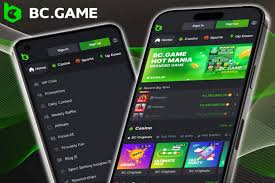 Explore the Exciting Features of the App BC.Game USA -730741013